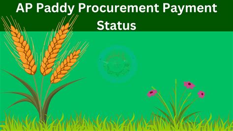 paddy|paddy procurement website.